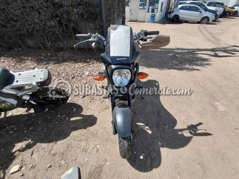 WhatsApp Image 2025-11-27 at 11.09.15 AM.jpg